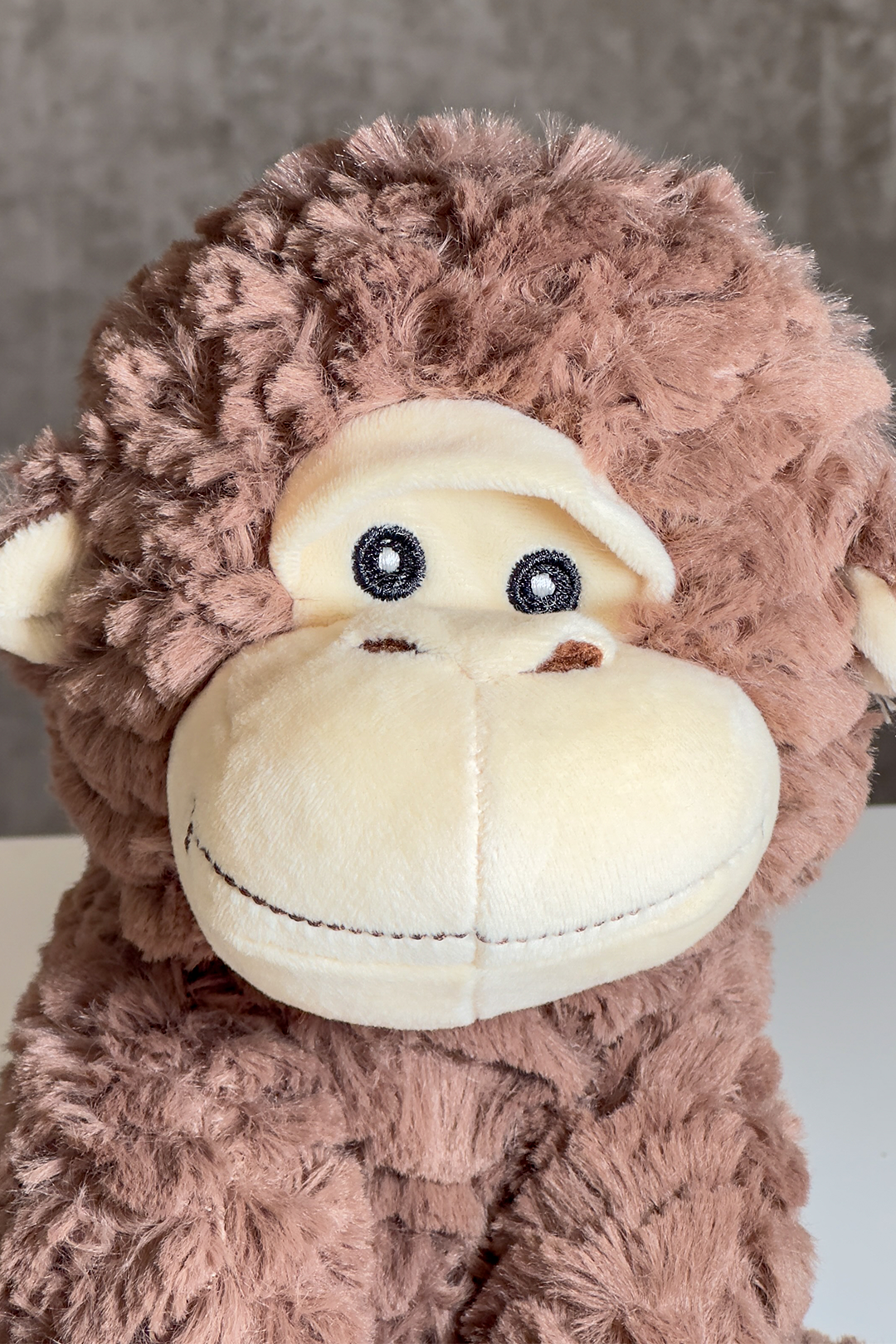 🧸Cheeky Choco the Monkey!