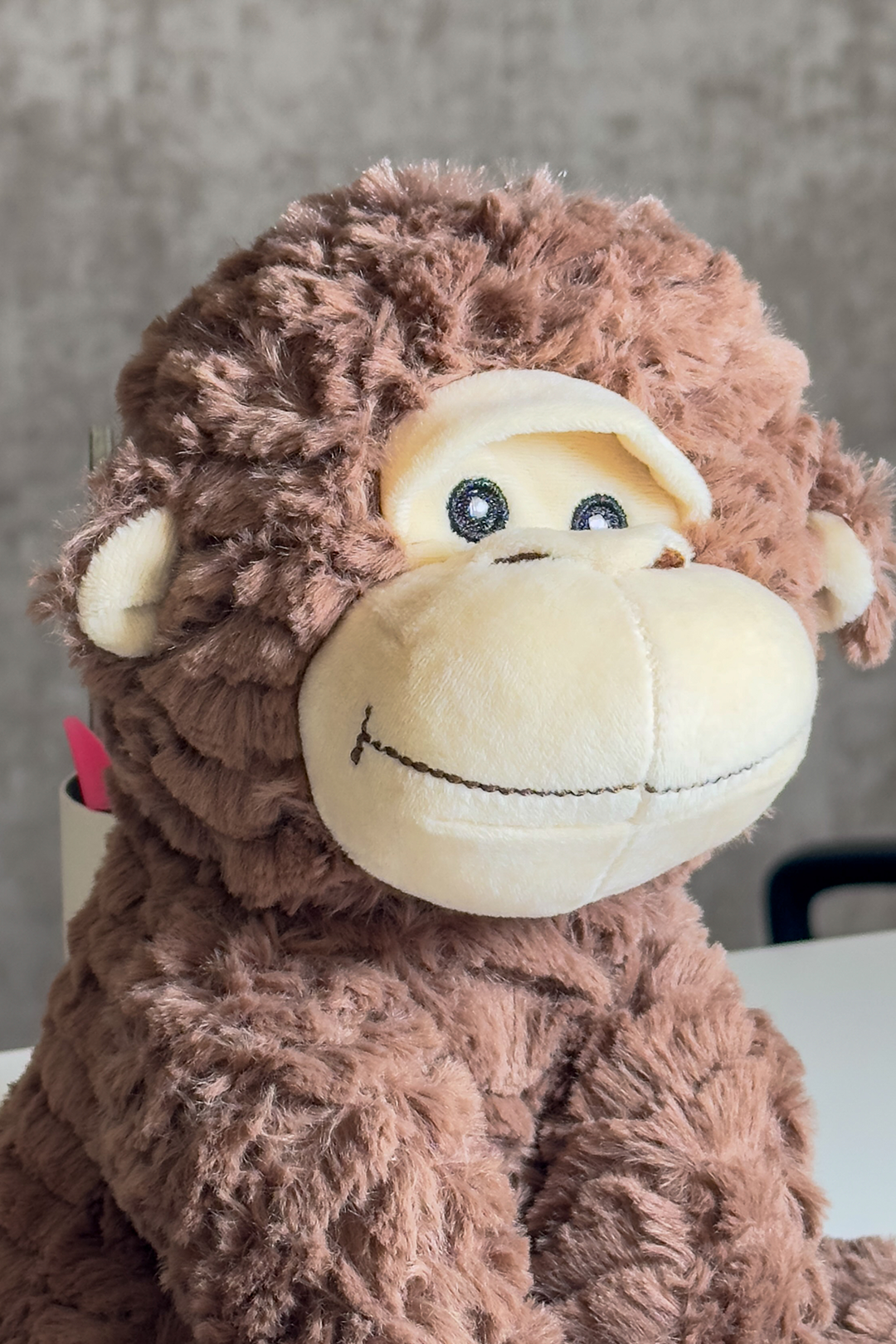 🧸Cheeky Choco the Monkey!