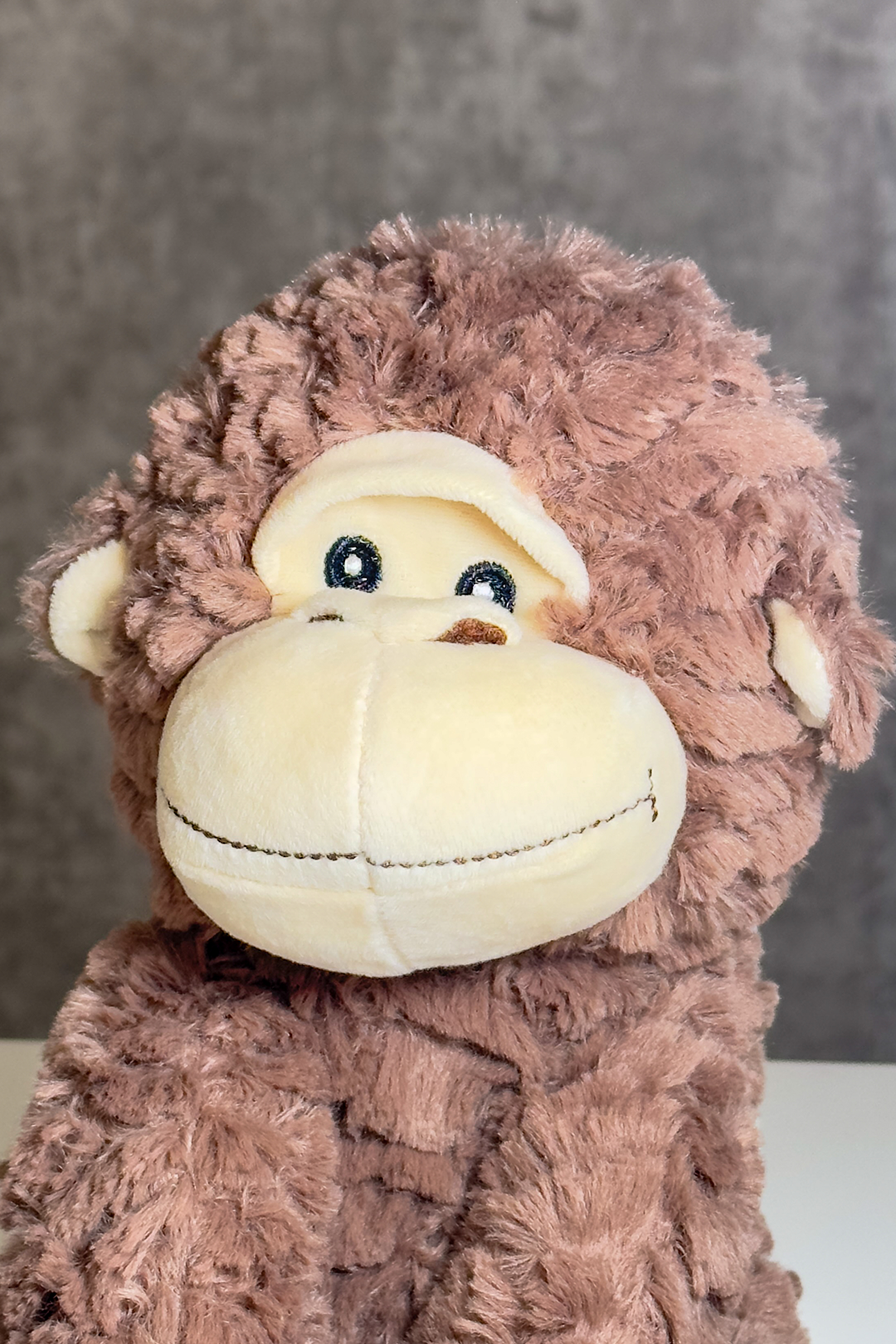 🧸Cheeky Choco the Monkey!