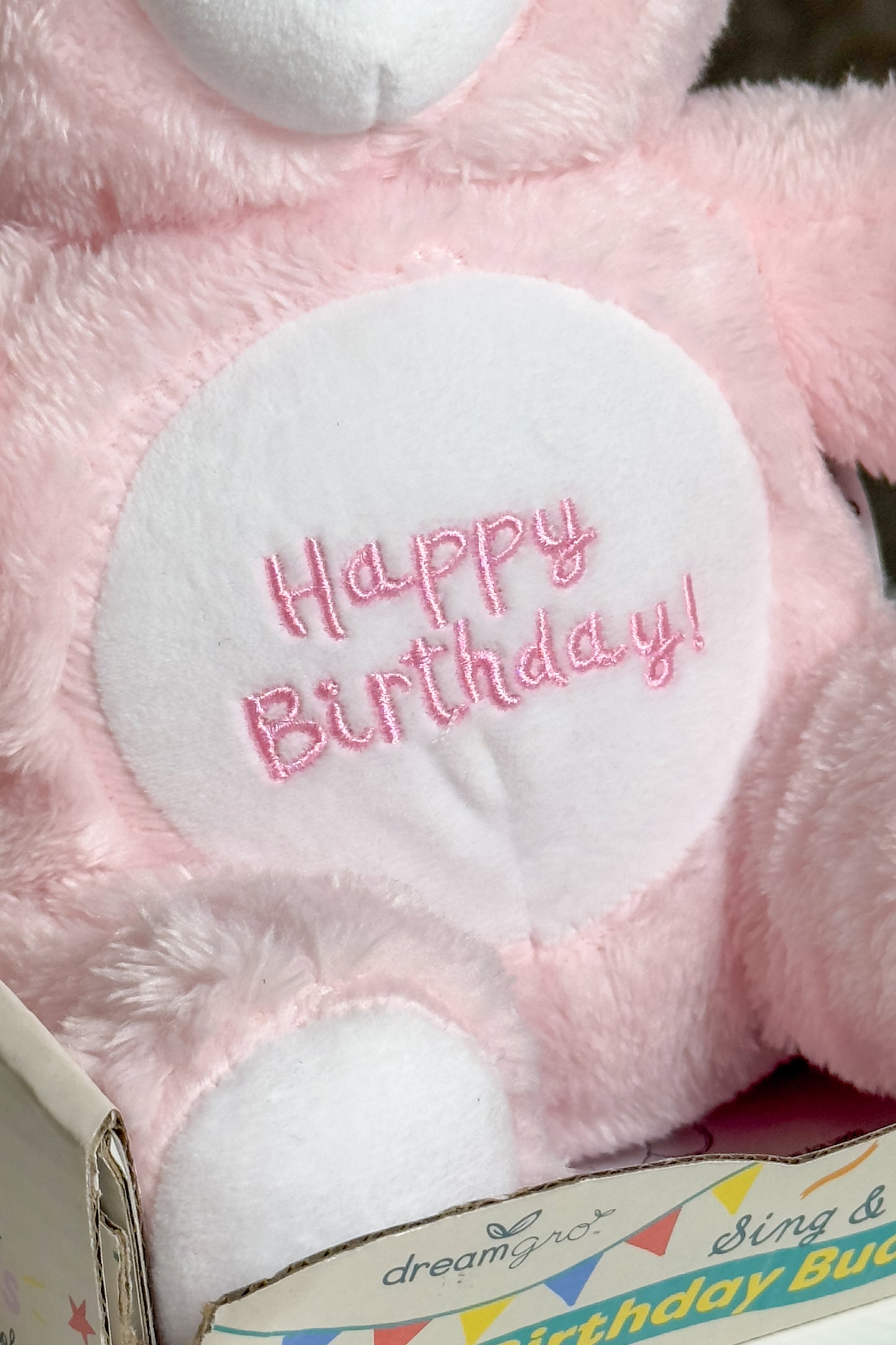 Binky Birthdaybear