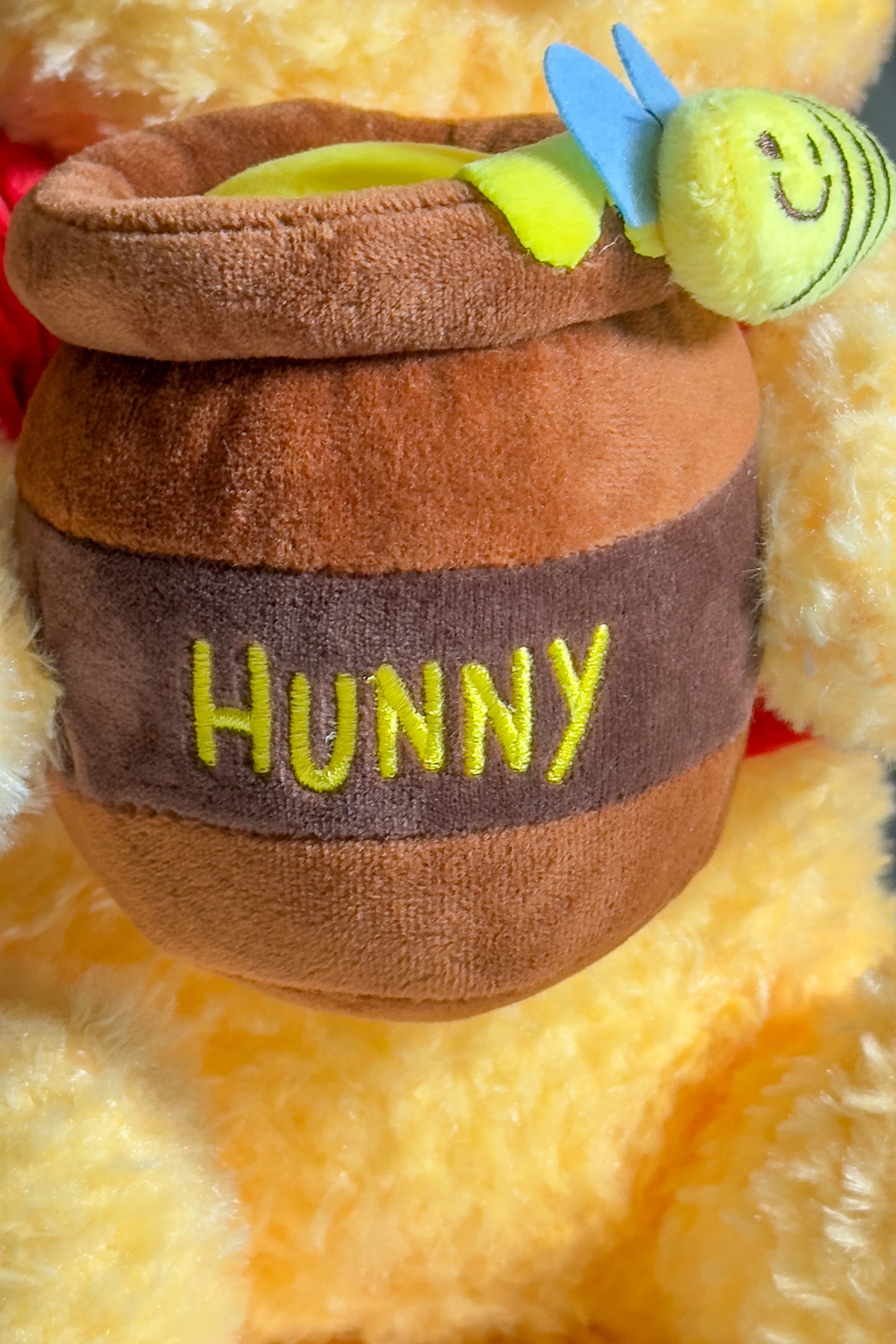 Sunny the Honey Bear