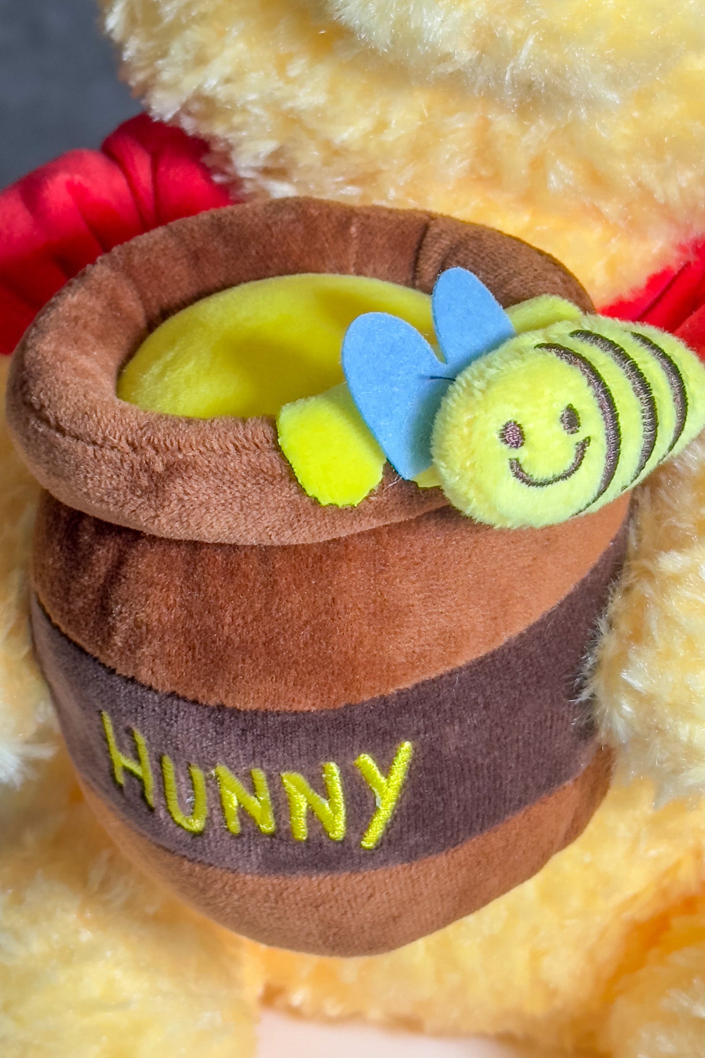 Sunny the Honey Bear