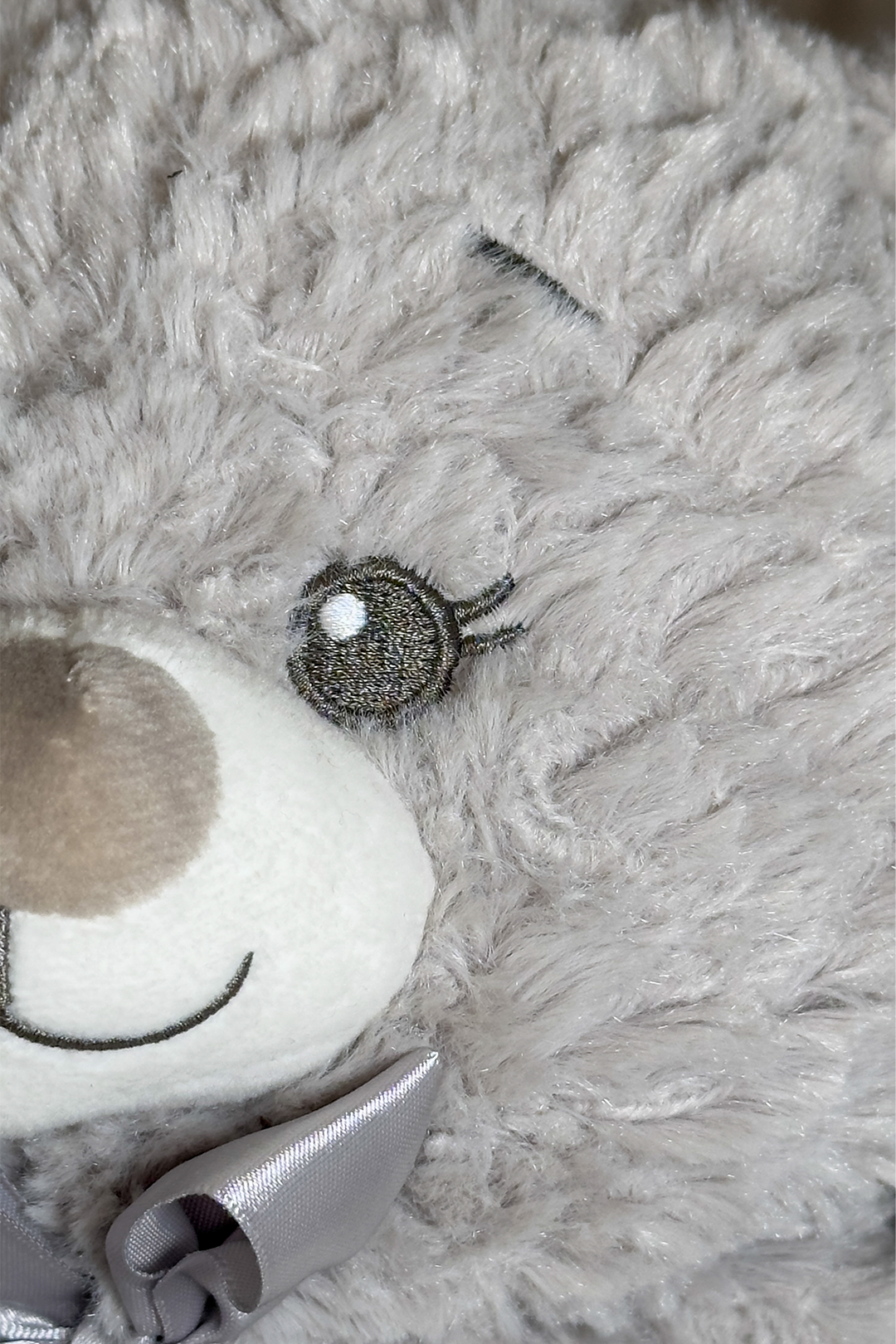 Bella Bow the Teddy! 🧸