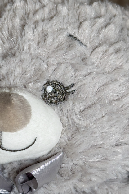 Bella Bow the Teddy! 🧸