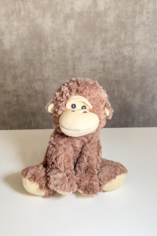 🧸Cheeky Choco the Monkey!